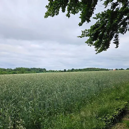 6 Person In * Haderslev