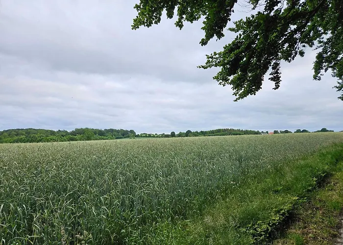 6 Person In * Haderslev