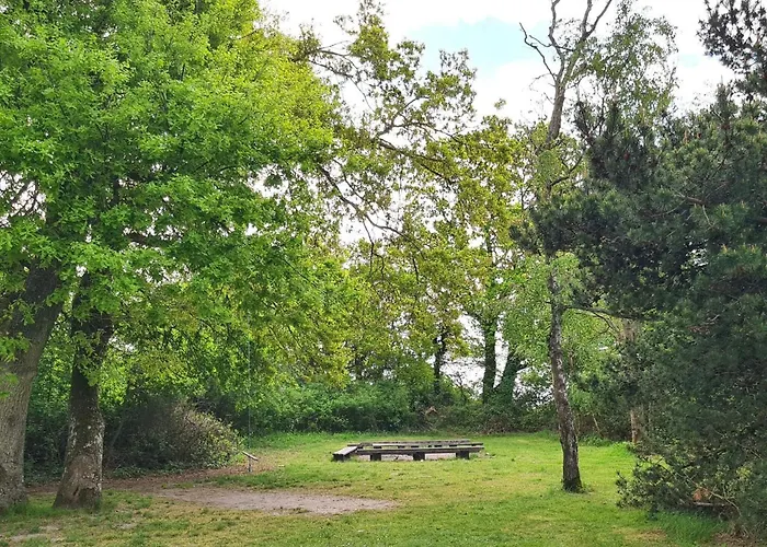 Vakantiehuis 6 Person In Haderslev